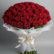Букет 101 Красная роза Блэк Мэджик в Подпорожье
