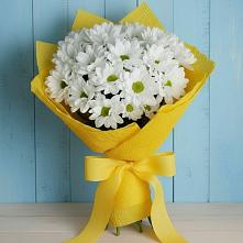 Букет цветов из:  Хризантемы в Подпорожье