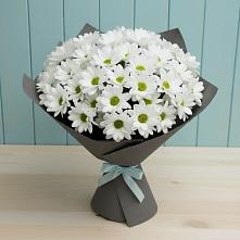 Букет цветов из:  Хризантемы в Подпорожье