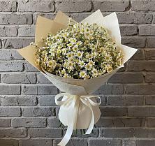 Букет цветов из:  Ромашки #REPLACE_PRED# Подпорожье