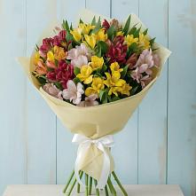 Букет цветов из:  Альстромерии #REPLACE_PRED# Подпорожье