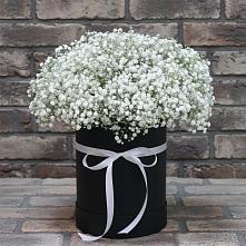 Цветочная композиция из Гипсофила в шляпной коробке #REPLACE_PRED# Подпорожье