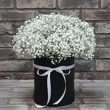 Цветочная композиция из Гипсофила в шляпной коробке в Подпорожье