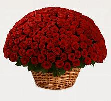 Премиум букет из: Розы в Подпорожье